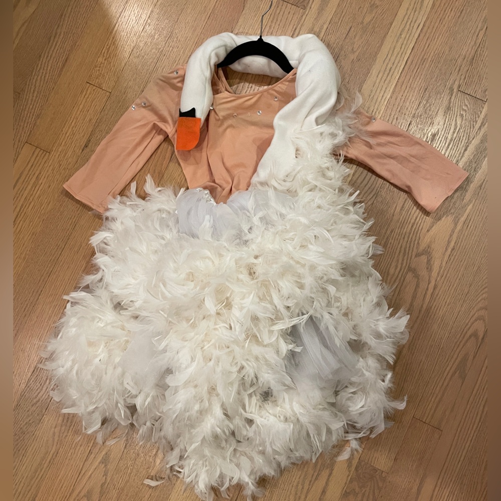 Bjork Halloween Costume